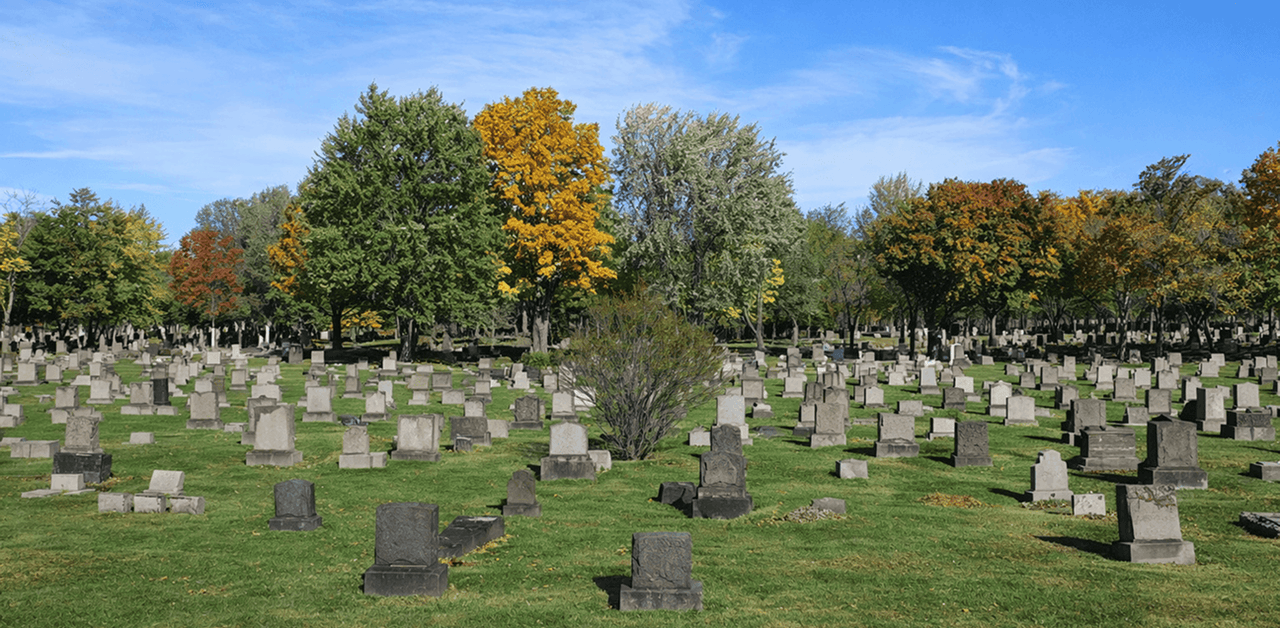 In Ground Burial